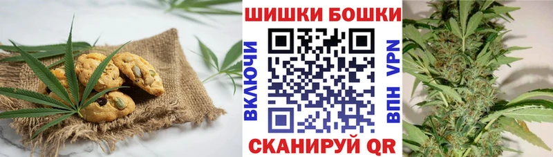 дарнет шоп  Покачи  Canna-Cookies конопля 
