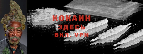стаф Володарск