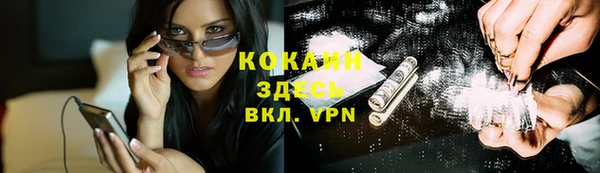 гашик Аркадак