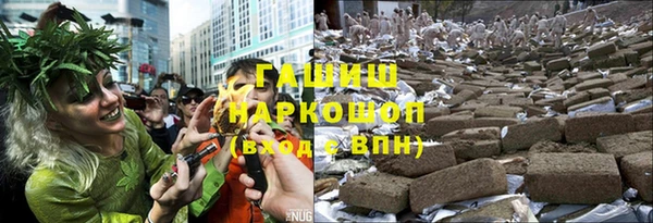 гашик Аркадак