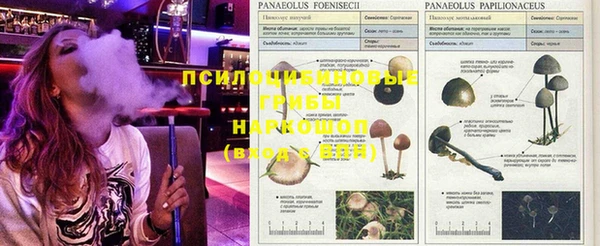 MESCALINE Арсеньев